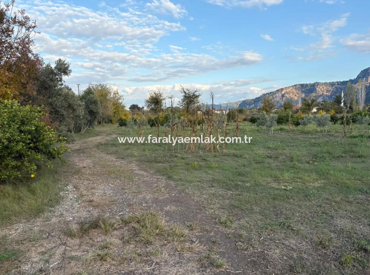 7.450M2 Land Zum Verkauf In Der Nähe Des Zentrums Von Dalyan