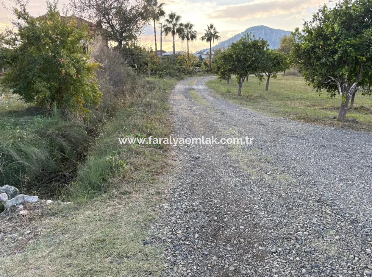 7.450M2 Land Zum Verkauf In Der Nähe Des Zentrums Von Dalyan