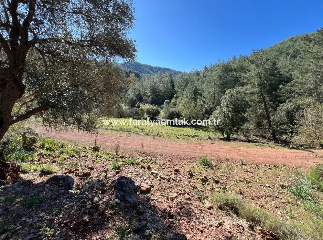 Grundstück Zum Verkauf In Natur Und Wald In Gökbel