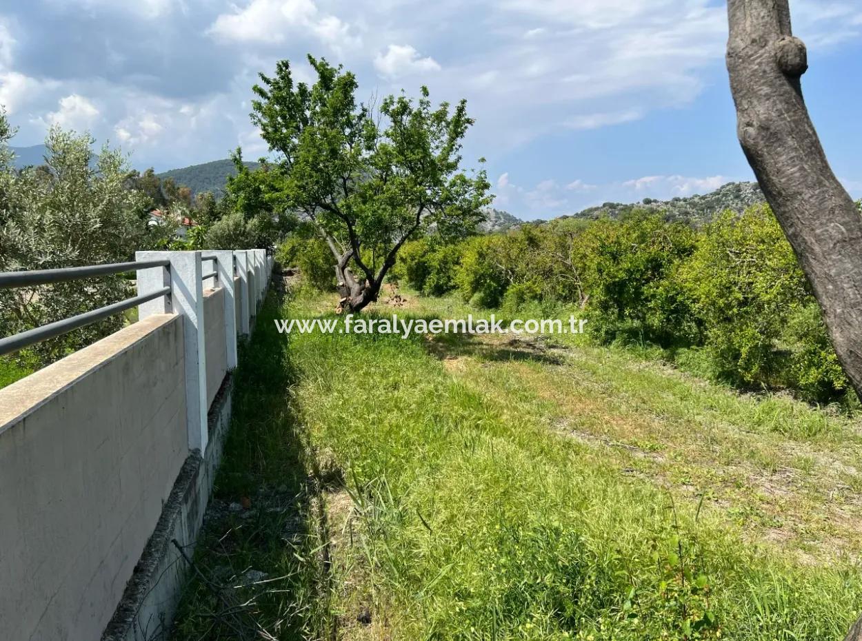 5.100 M2 Land Zum Verkauf In Der Gegend Von Dalyan Maraş Mit 5% Wohnzone
