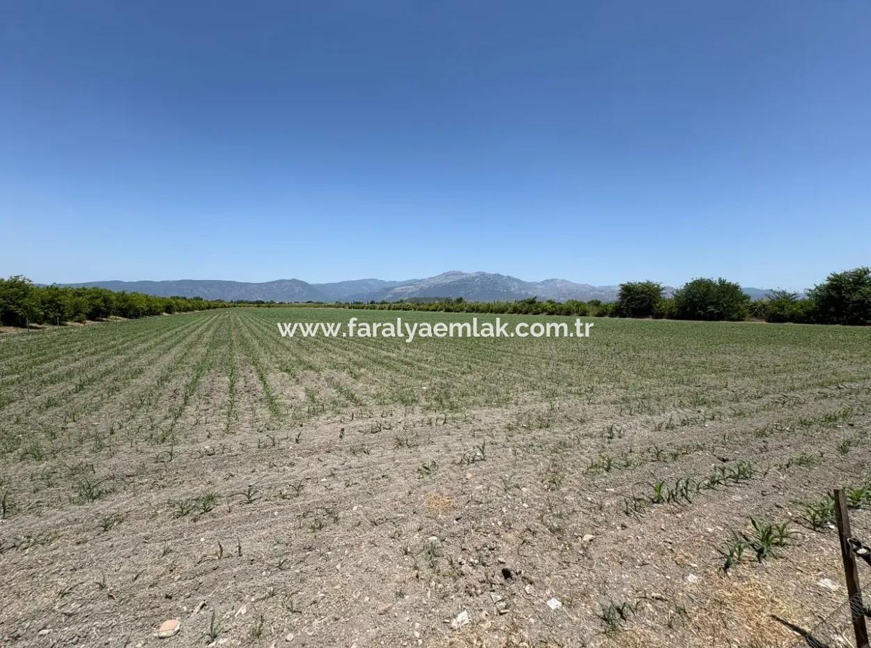 46.550M2 Grundstück Zum Verkauf In Tepearası