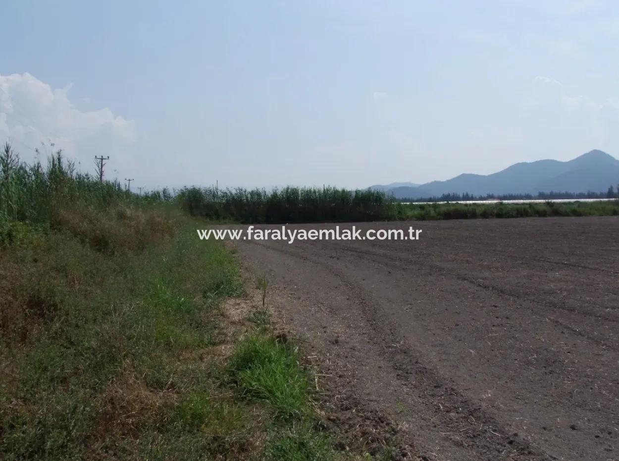 Bauernhof Zum Verkauf In Dalyan Eskikoy Eskikoy Oriya 14,900M2 Grundstück Zu Verkaufen Feld
