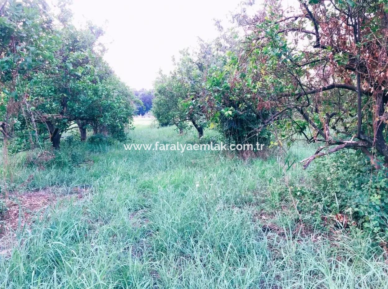 Archer In Die Bogenschützen Grundstück Zum Verkauf Zum Verkauf In Marmarli 1,500M2 Grundstück Zum Verkauf