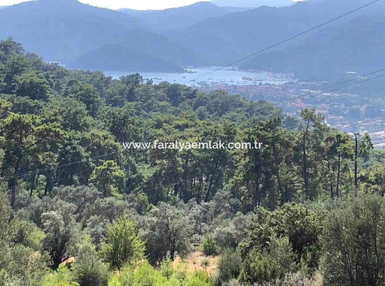 Tourismus-Zonen Grundstücke Zum Verkauf In Göcek Mit Meerblick Zum Verkauf In Gocek
