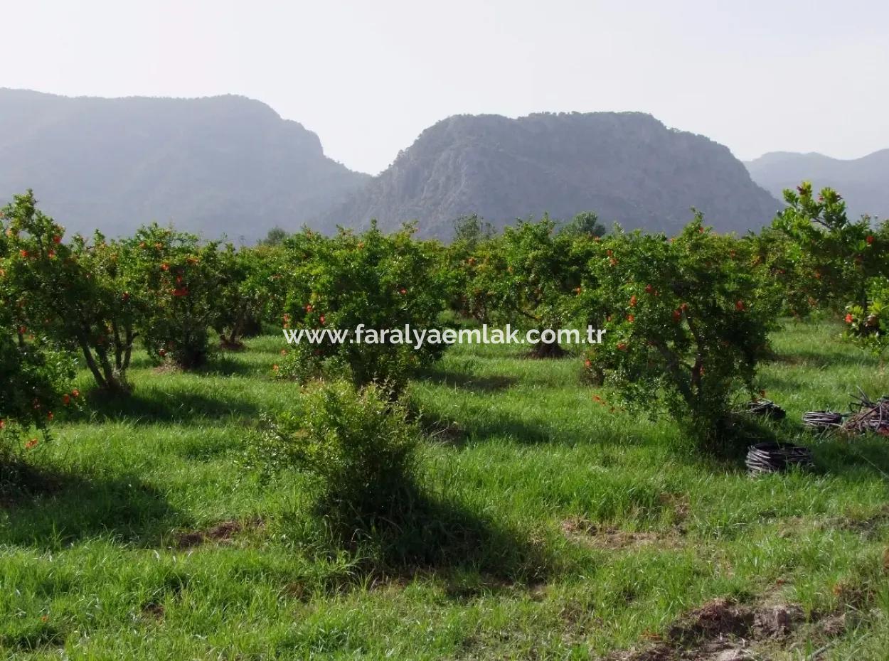 Merkez Dalyan Iztuzu See-Garten-Villa Zum Verkauf