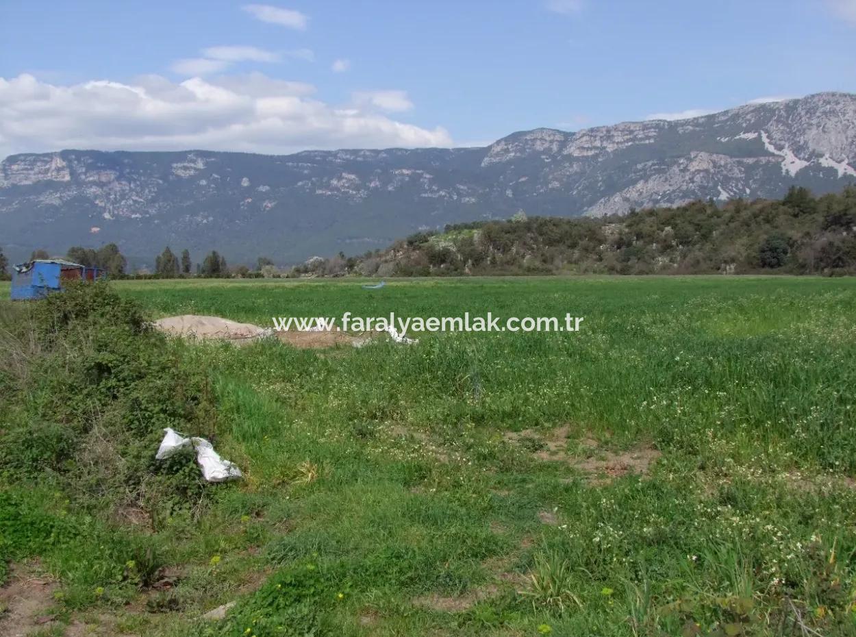 In Akyaka Zum Verkauf: Grundstück Zum Verkauf Bauernhof Zum Verkauf Einer Farm In Der Nähe Vom Meer, In Ars, Yatirimlik 21625M2
