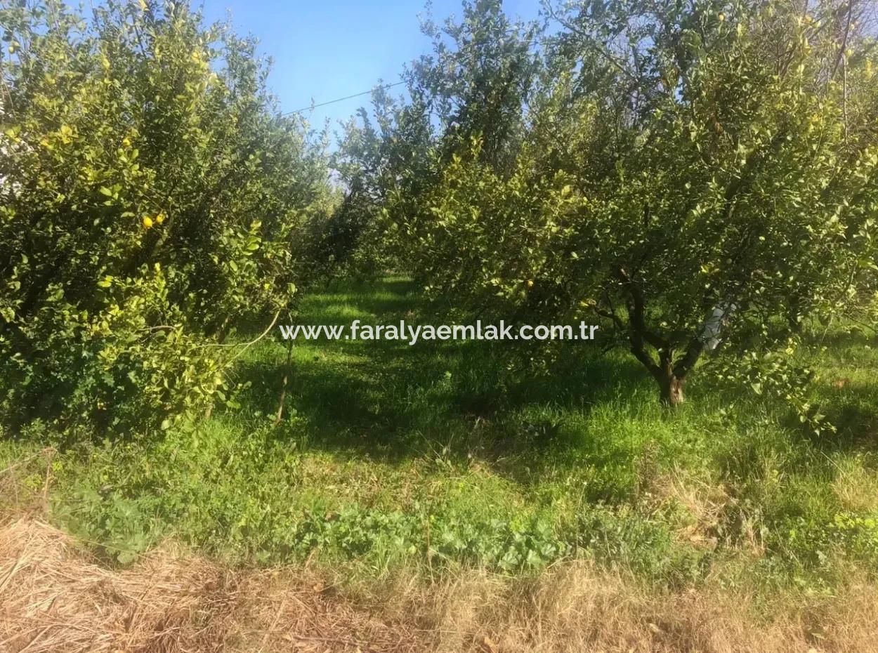 Raiders 803M2 Land Zum Verkauf In Plot Zum Verkauf