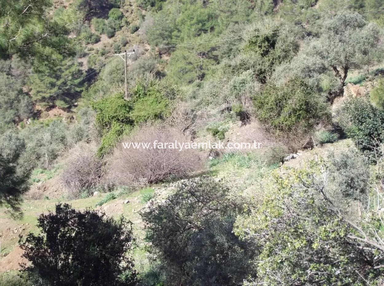 Landwirtschaftliche Grundstück Zum Verkauf Mit Meerblick Zum Verkauf In Gokbel