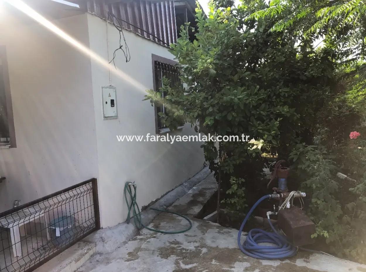 752M2 Grundstück Zum Verkauf Zum Verkauf In Bogenschützen Koyevi Bungolev