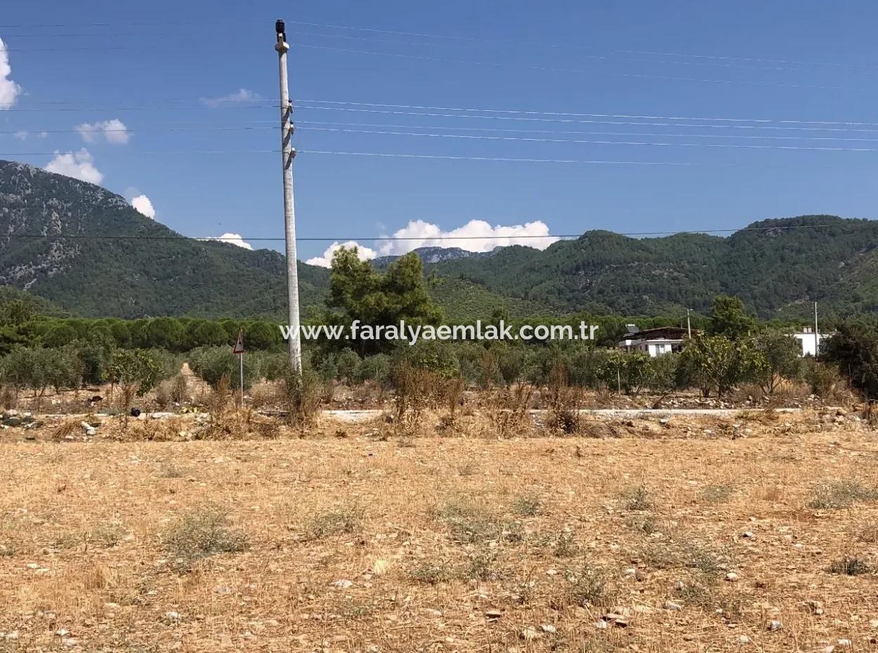 11.227M2 Grundstück Zum Verkauf Mit Seeblick In Köyceğiz Zeytinalan