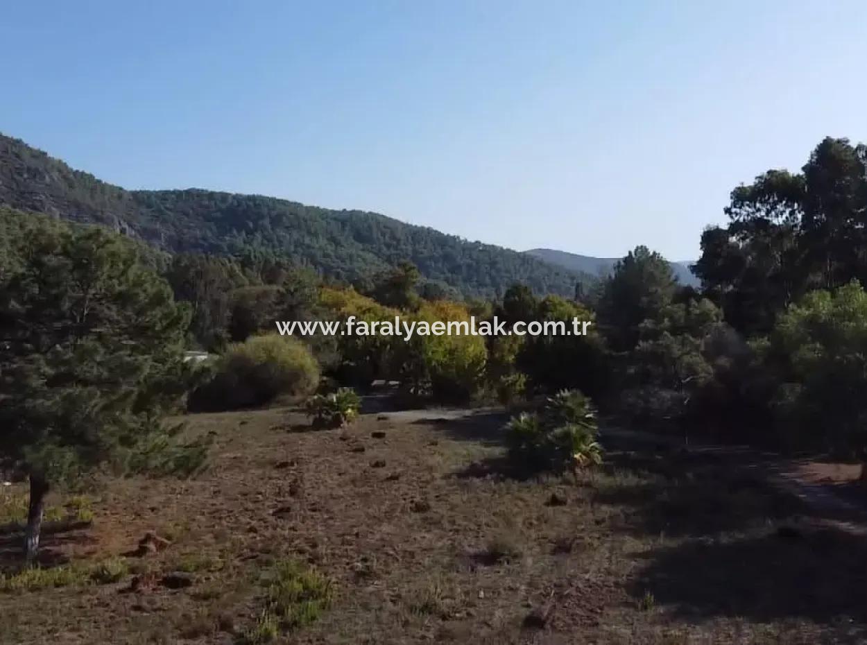 Land Zum Verkauf In 'Aml'da Marmaris 'Aml'da Meerblick 11720M2 Land Zu Verkaufen