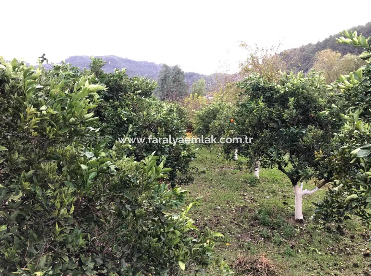 Eingeschossiges Einfamilienhaus Zum Verkauf In 1222M2 Grundstück In Archers