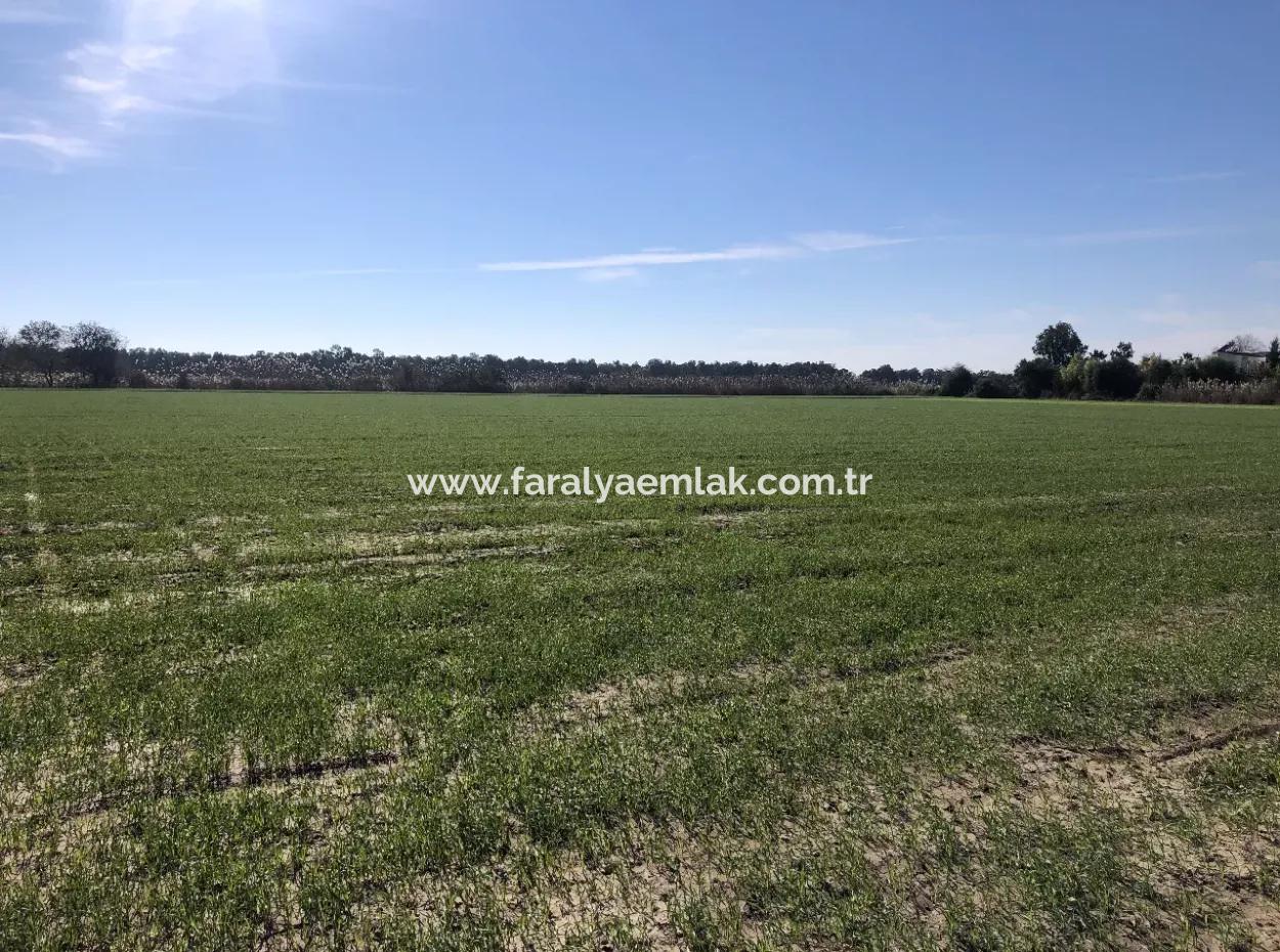 Land Zu Verkaufen In Sar'germede 30.000M2 Land Zum Verkauf Mit Meerblick