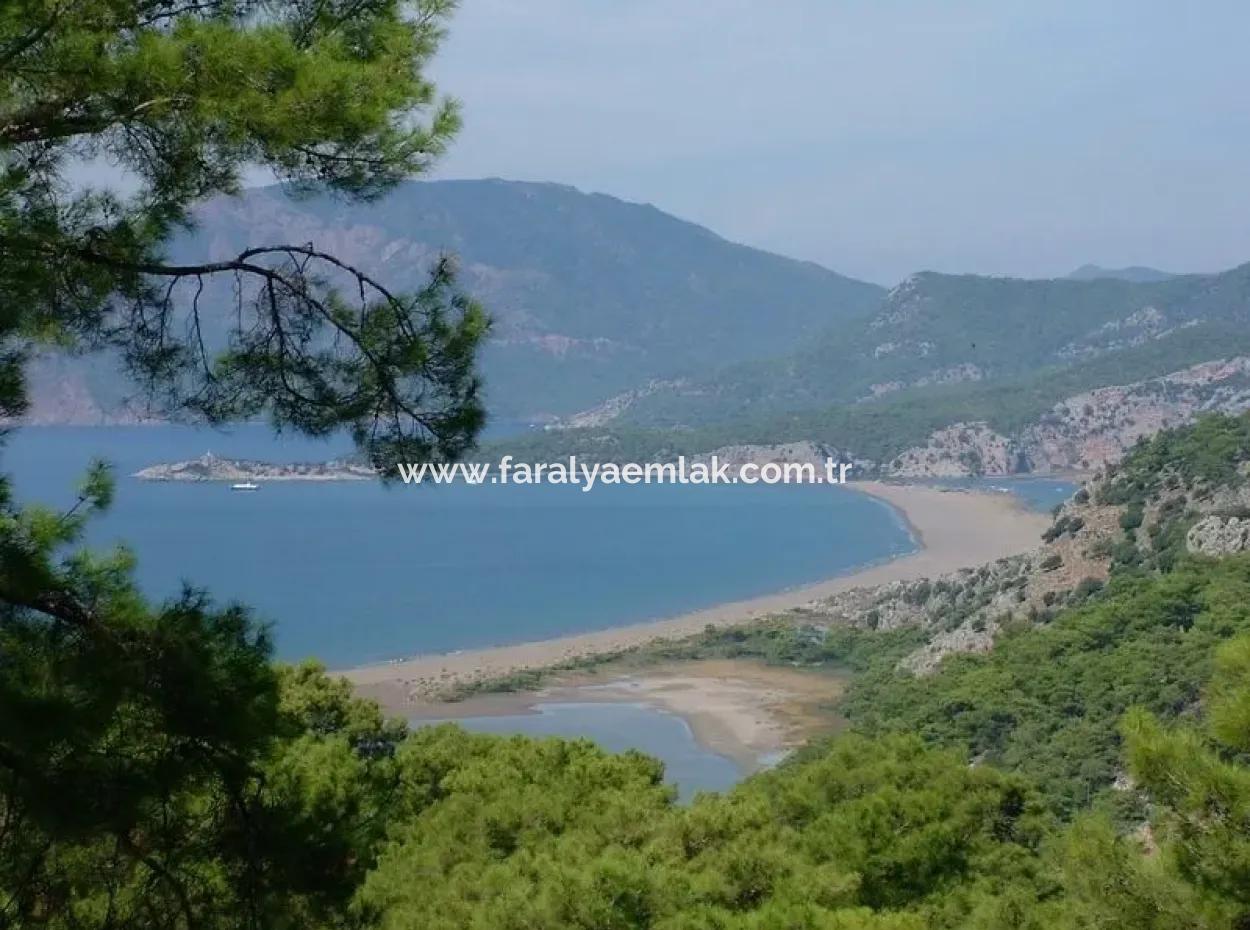 Villa Gokbel In Dalyan Iztuzu Villa Zum Verkauf Mit Meerblick Zum Verkauf In Gokbel