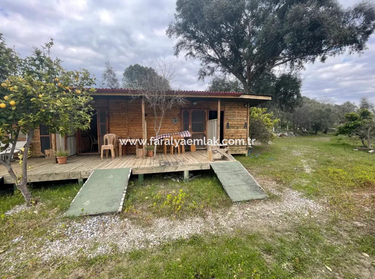 Dalyan Boutique Hotel Zum Verkauf Bungolevler Zum Verkauf In 11.000M2 Grundstück