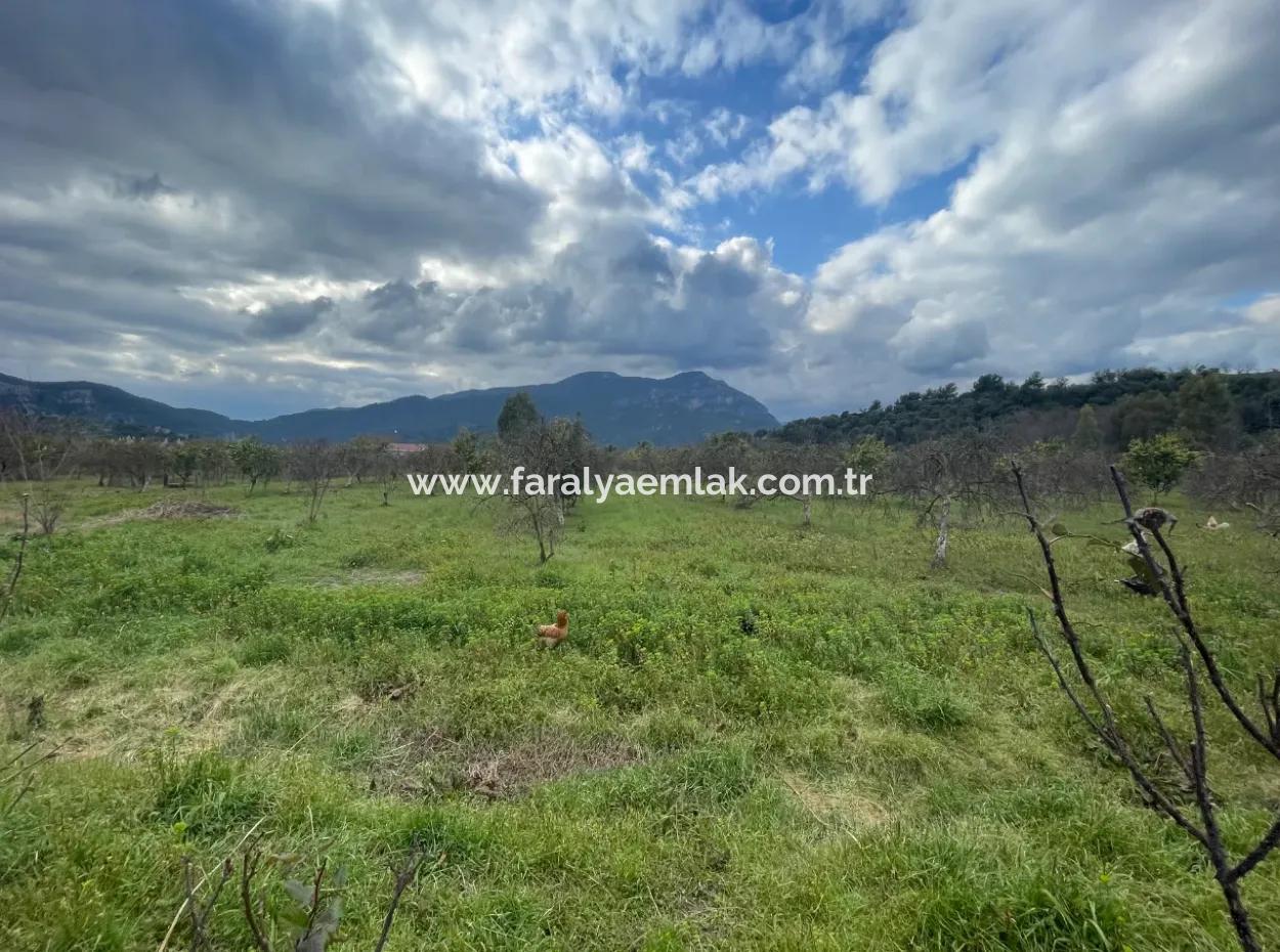 Dalyan Boutique Hotel Zum Verkauf Bungolevler Zum Verkauf In 11.000M2 Grundstück