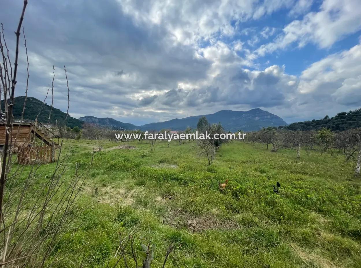 Dalyan Boutique Hotel Zum Verkauf Bungolevler Zum Verkauf In 11.000M2 Grundstück