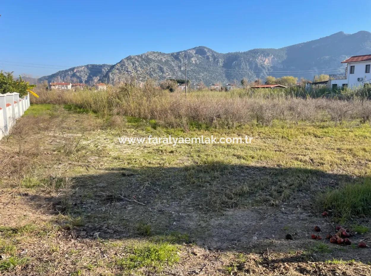 Dalyan 1000M2 Köşebaşı Grundstück Zum Verkauf