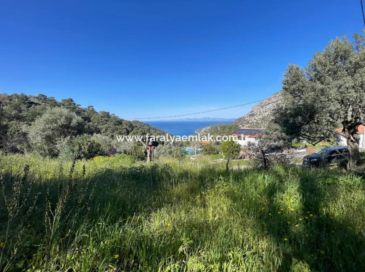 Dorfhaus Zum Verkauf Auf 4.400M2 Grundstück Mit Vollem Meerblick In Gökbel