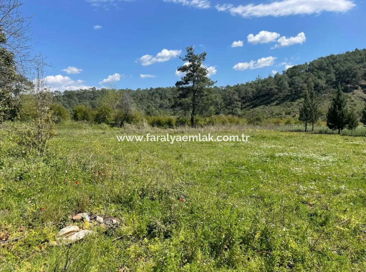 Mehrfamilienhaus Zum Verkauf In 5650M2 Feld In Zeytinalann