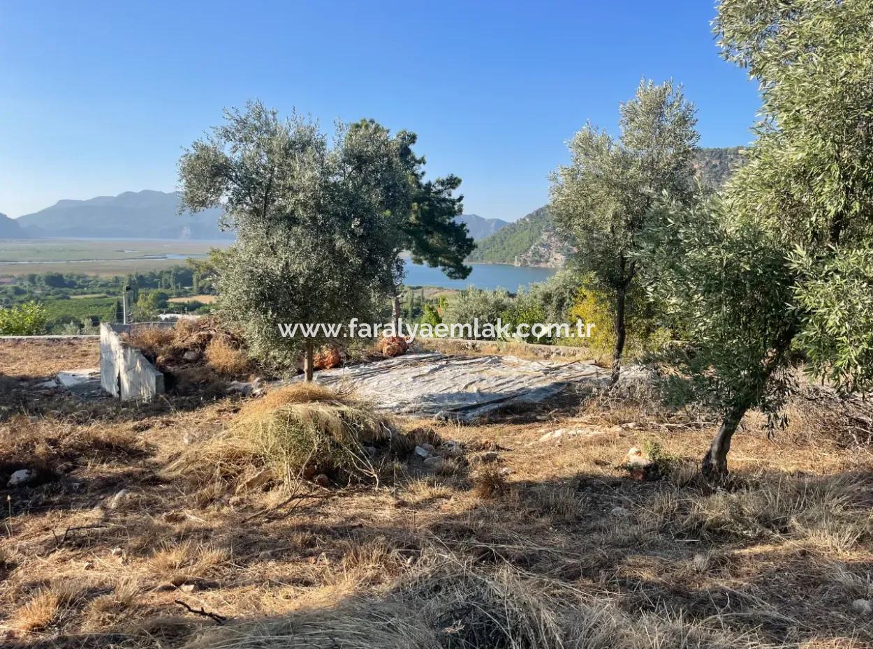 Çandır Voller Meer- Und Seeblick 500M2 2B Feld Zu Verkaufen