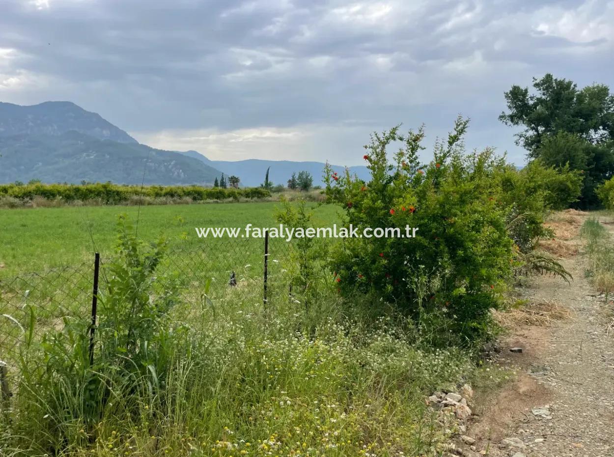 2.528M2 Feld Zum Verkauf In Der Nähe Des Zentrums Von Dalyan