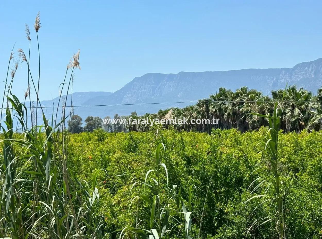 13.500 M2 Straßenfeld Zum Verkauf In Akyaka Akçapınar