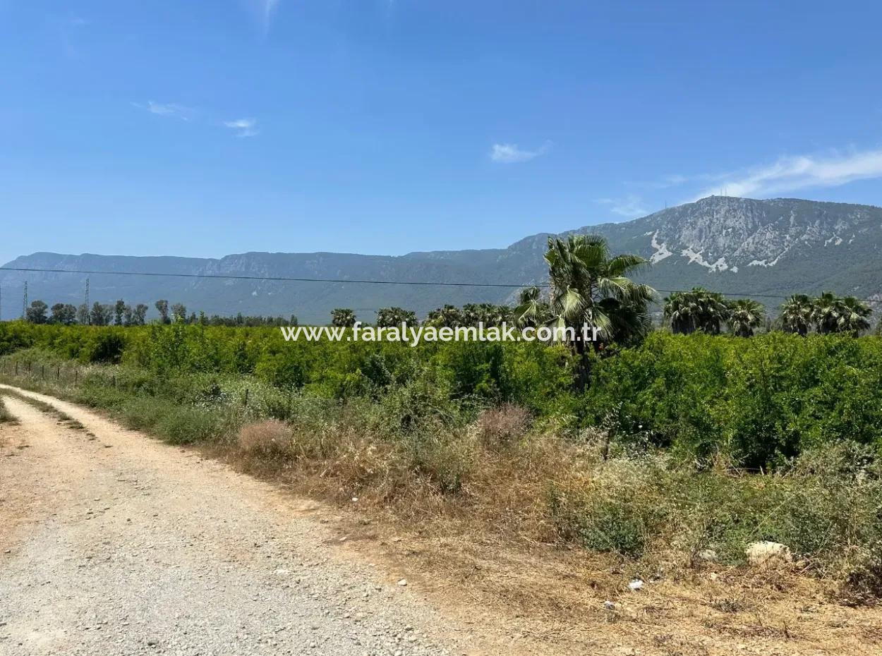 13.500 M2 Straßenfeld Zum Verkauf In Akyaka Akçapınar