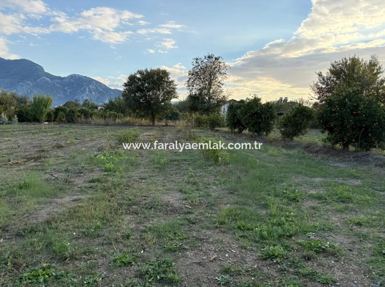 7,450M2 Land For Sale Close To The Center Of Dalyan
