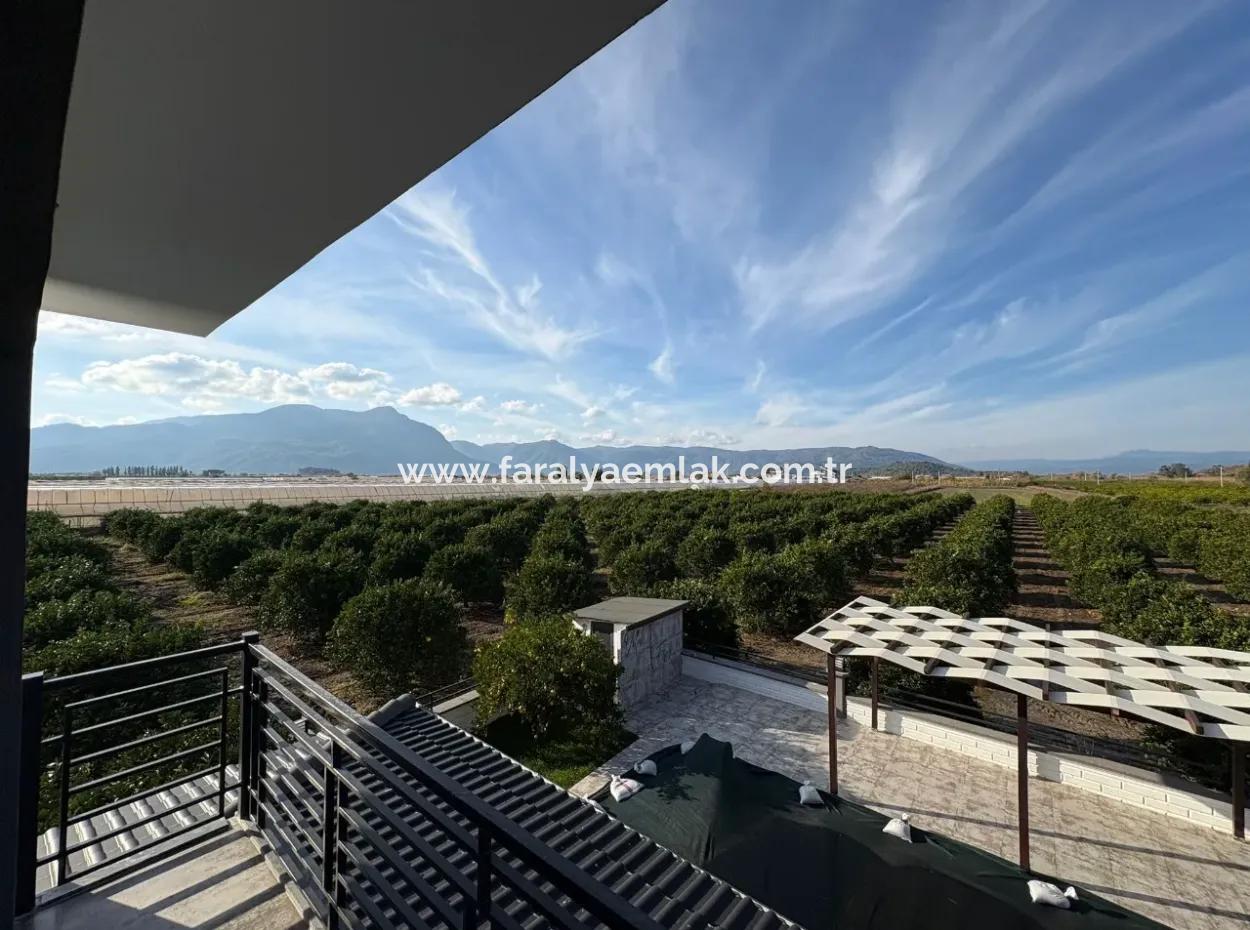 4 1 Villas For Sale In 14.136 M2 Field In Eskiköy