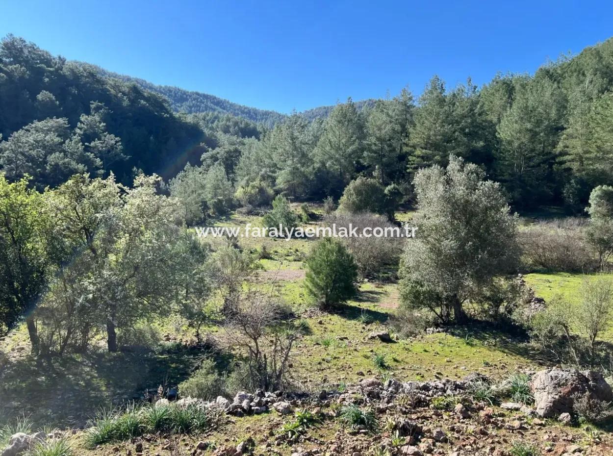 Land For Sale In Nature And Forest In Gökbel