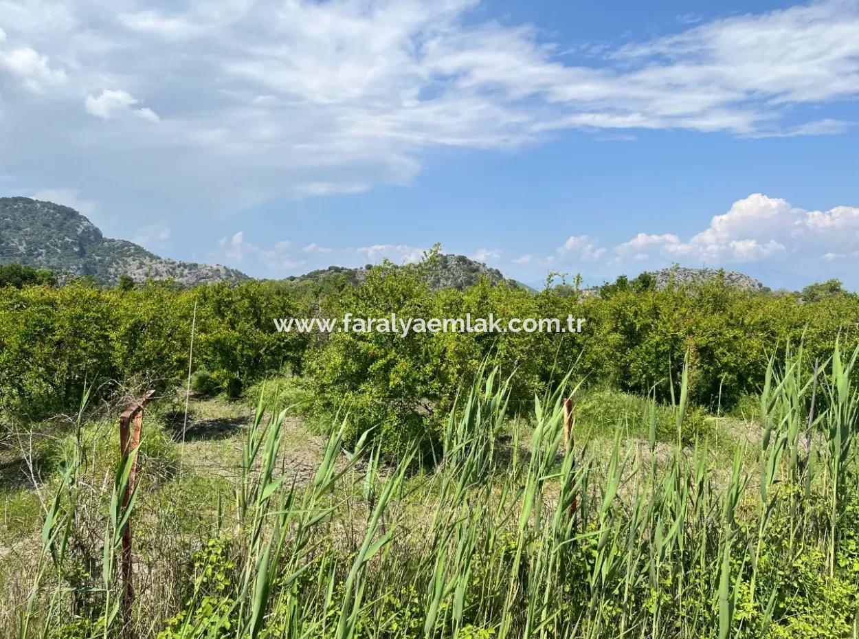 5,100M2 Land For Sale In Dalyan Maraş Area With 5% Residential Zoning