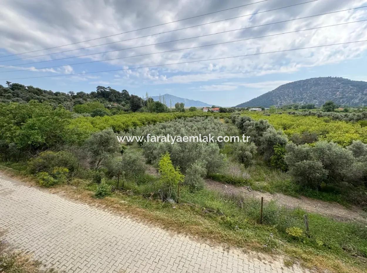 1,721M2 Land For Sale In Çandır Village With Sea And Lake Views
