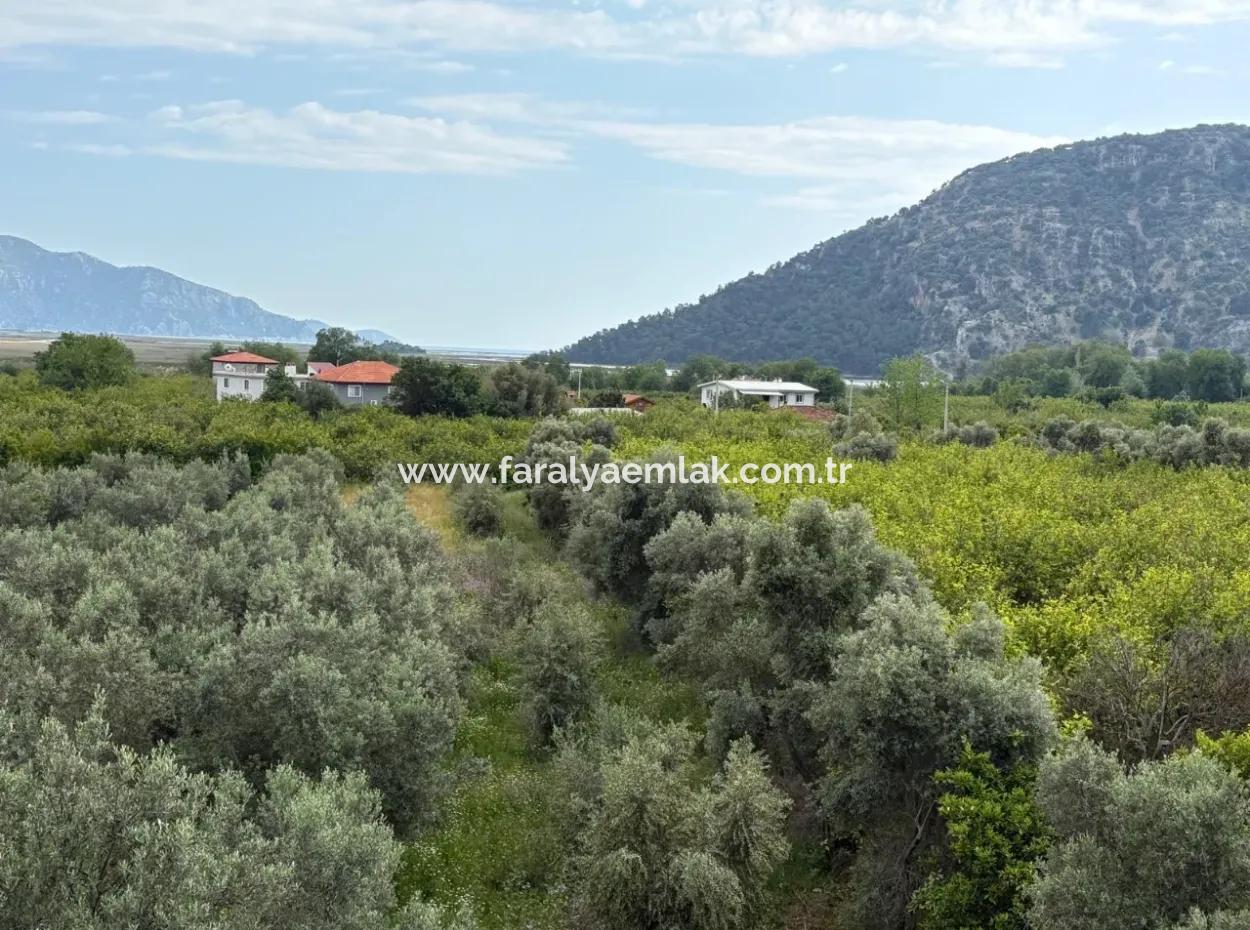 1,721M2 Land For Sale In Çandır Village With Sea And Lake Views