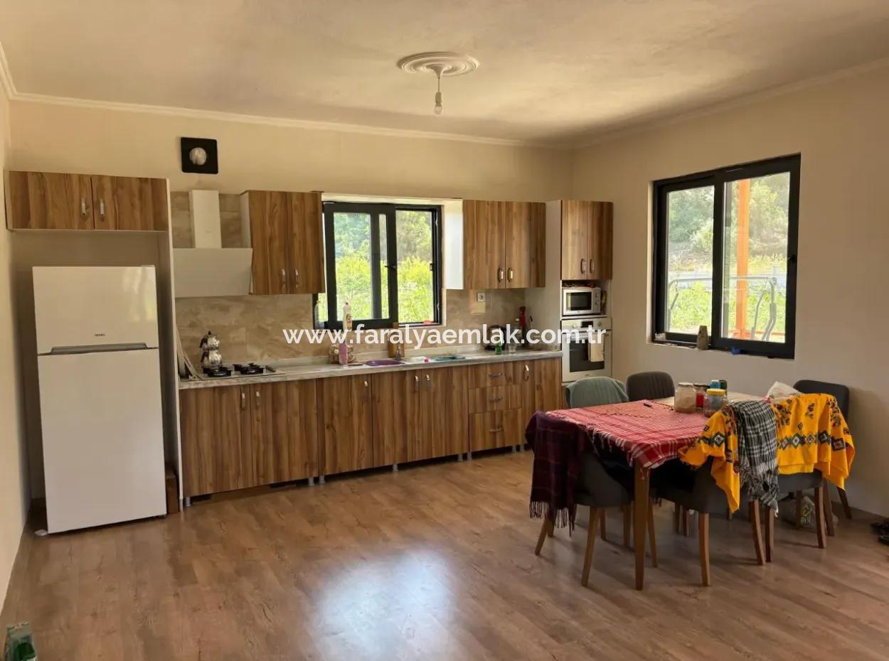 120M2 Detached Wooden House In A 2500M2 Field In Dalyan Karadağ