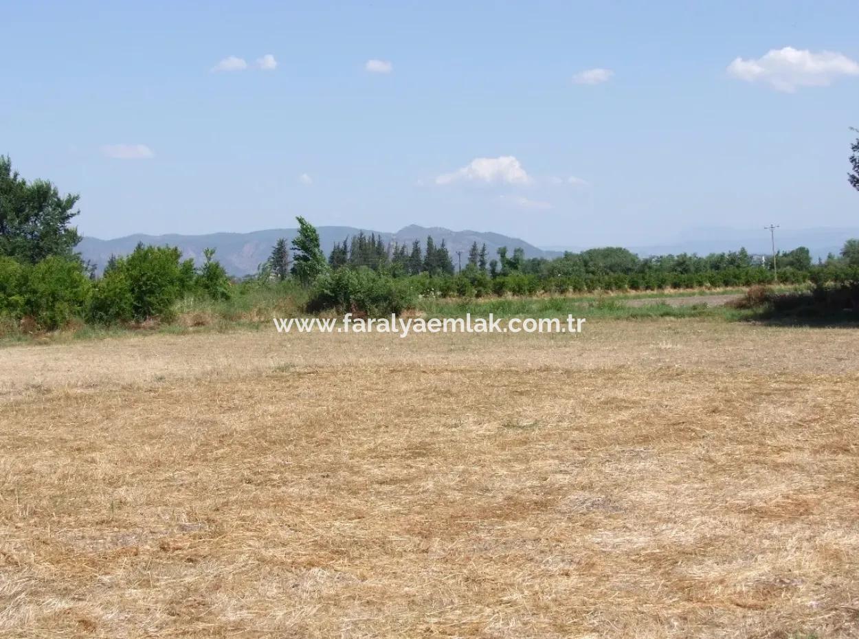 Plot For Sale On The Corner Of 540M2 In Okcular