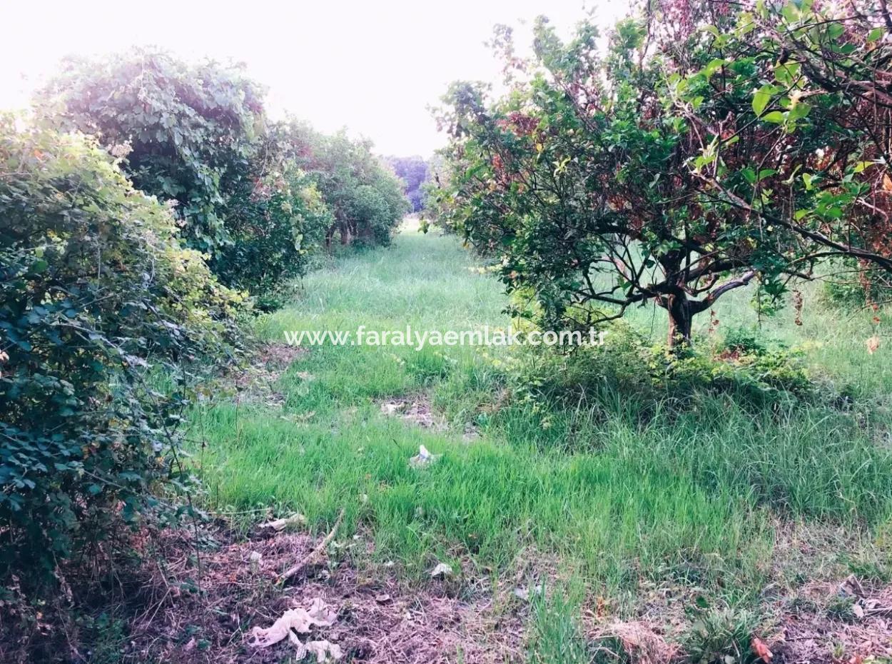 Archer In The Archers Plot For Sale For Sale In Marmarli 1,500M2 Plot For Sale