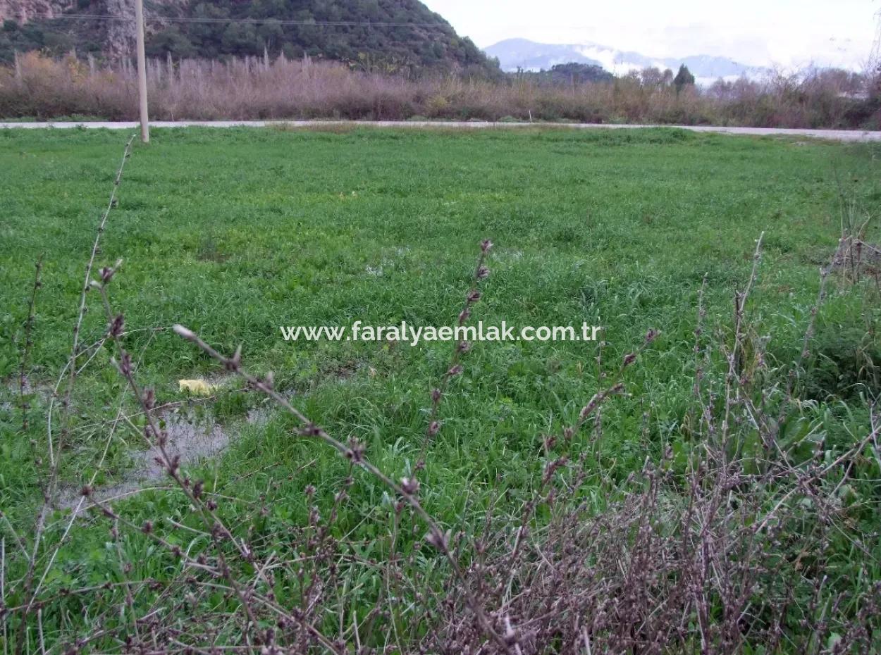 Gulpinar Dalyan Dalyan For Sale In 1002M2 Plot For Sale For Sale Cornerstone