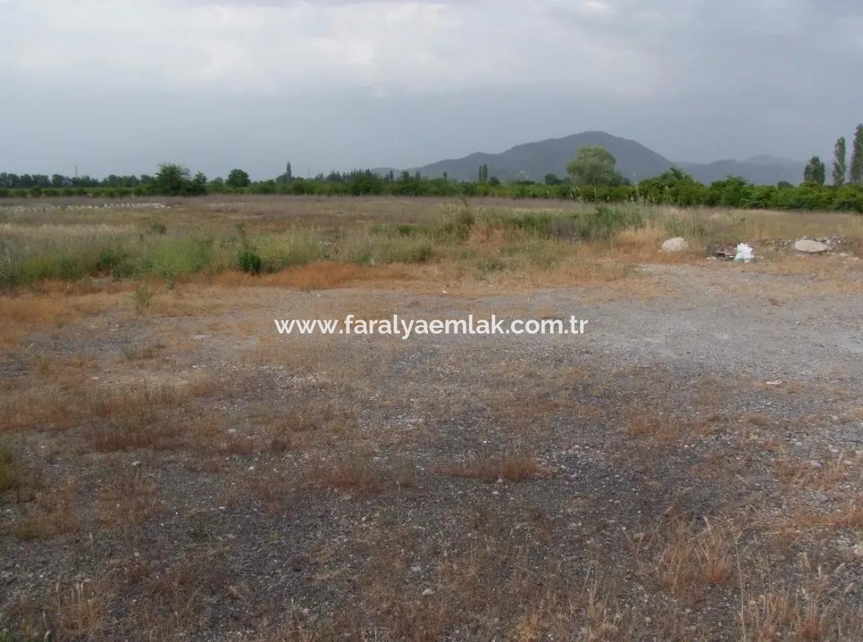 Commercial Plot For Sale In Dalyan, Dalyan On Highway 17,805M2 Plot For Sale Bargain