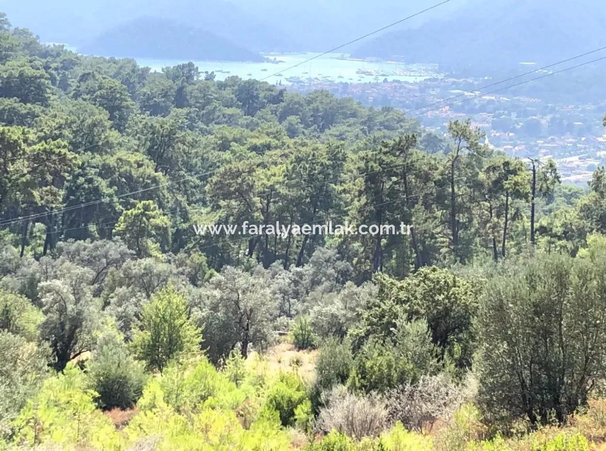Tourism Zoned Land For Sale In Gocek With Sea Views For Sale In Gocek