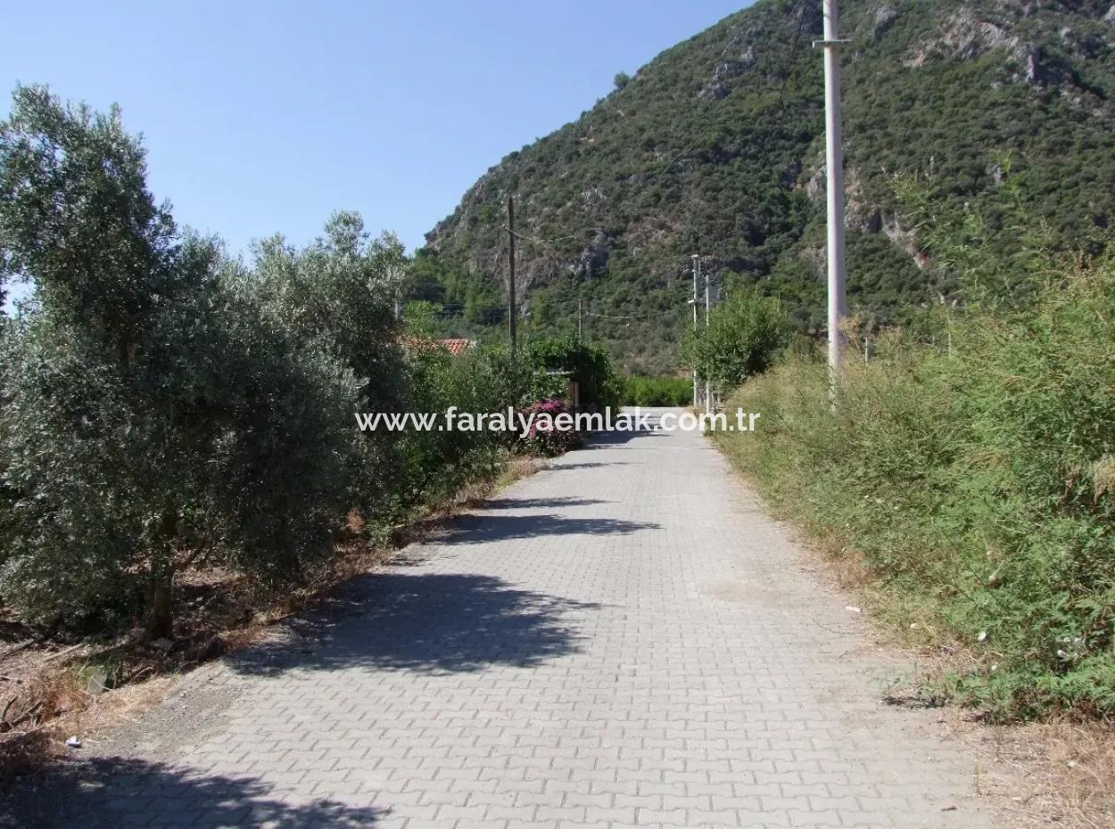 930M2 Land For Sale In Plot For Sale In Mergenli Ortaca Mergenli