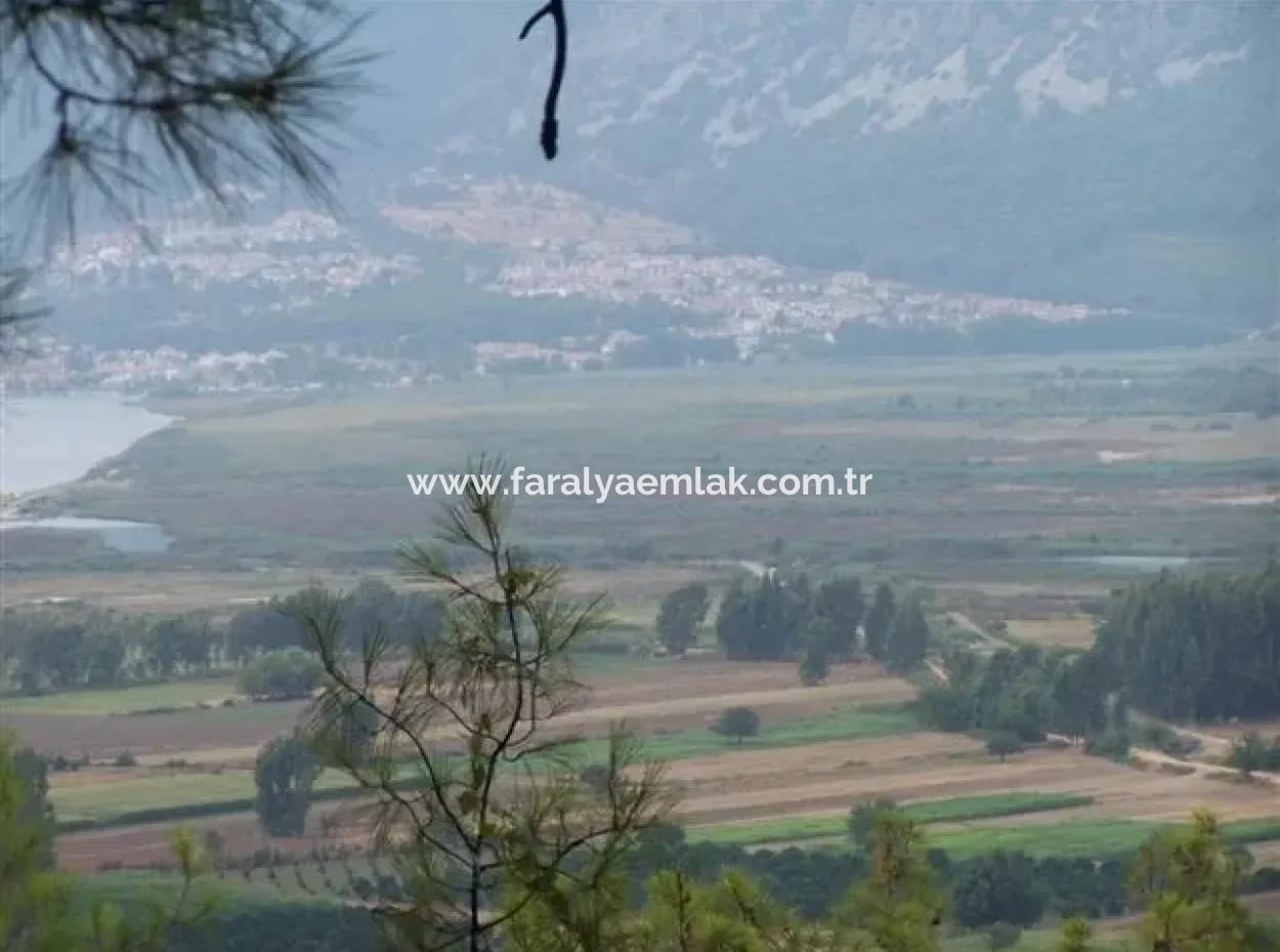 Gökçe Gökçe 21671M2 Farm For Sale For Sale