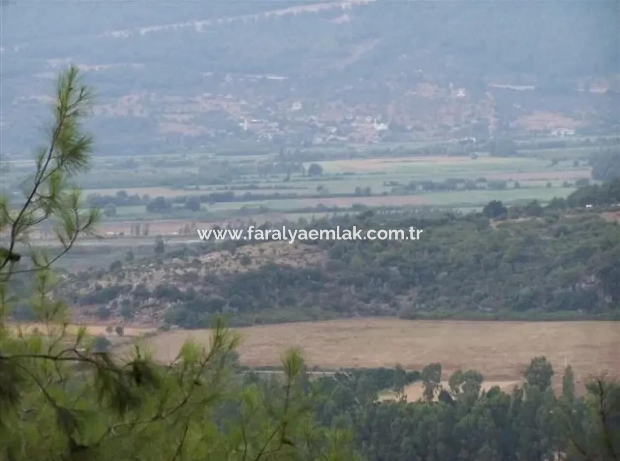 Gökçe Gökçe 21671M2 Farm For Sale For Sale