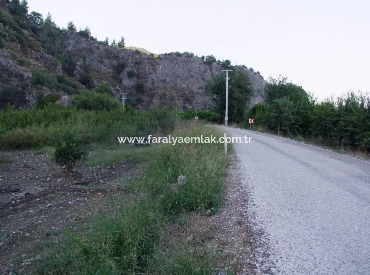 Plot For Sale In Pomegranate Garden For Sale In Oriya Mergenli Mergenli