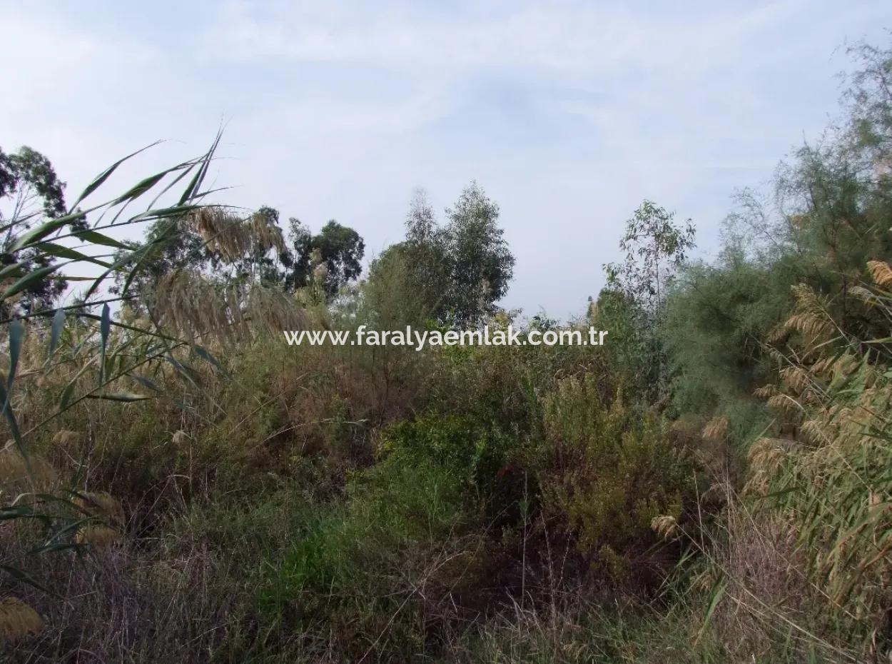 For Sale Land In Dalyan For Sale Dalyan Channel Zero