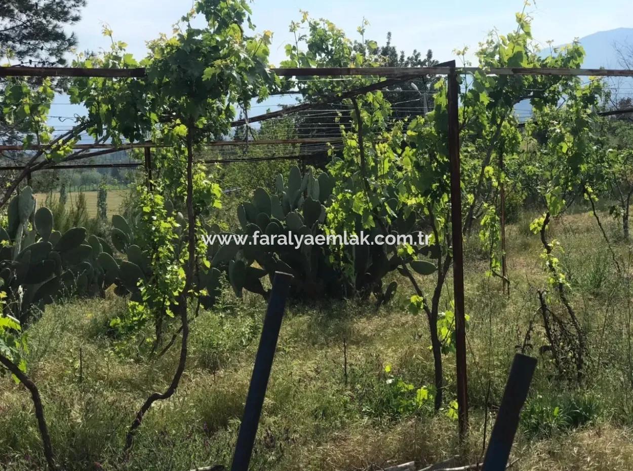 Land For Sale In Seydikemer Korubuku 76000M2