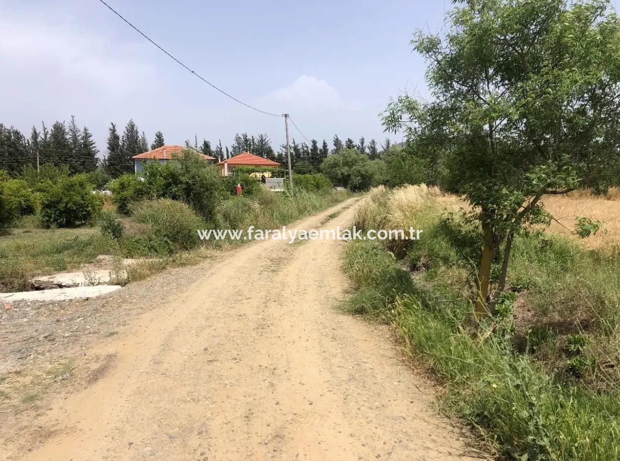 Farm Land For Sale 39 Acres In Eskikoy