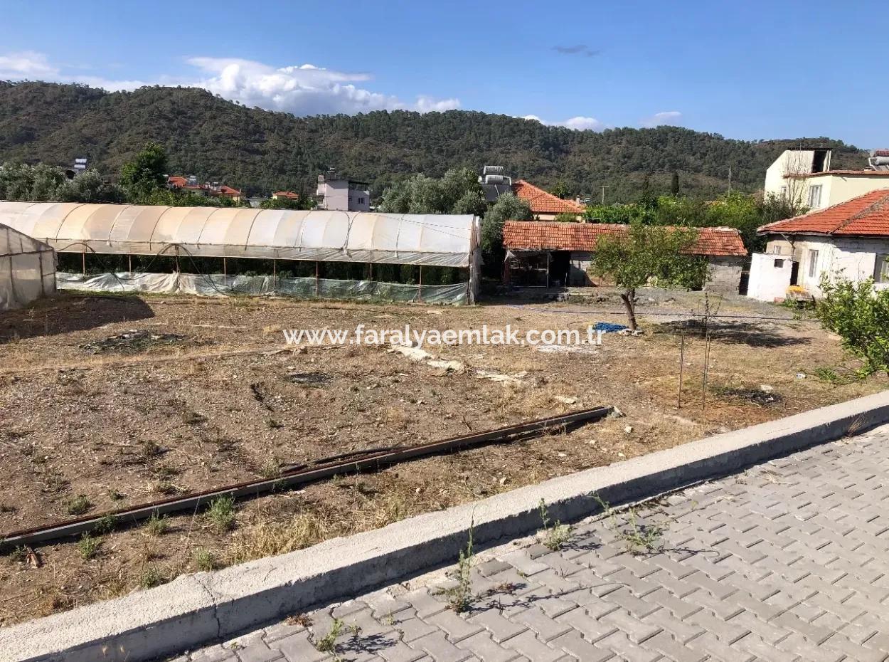 Oriya 560 560 Sq Ft Plot For Sale Commercial Land Main Road For Sale Eksiliyurt Zero