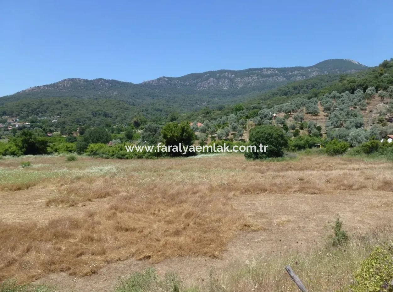 2300M2 Land For Sale Near The Center Of The Land For Sale