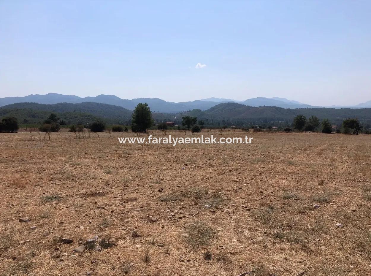 11.227M2 Land For Sale With Lake Views In Köyceğiz Zeytinalanı